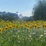 ヒメ日記 2025/07/07 09:26 投稿 なぎさ 大人の色気！ ウエスト・コム