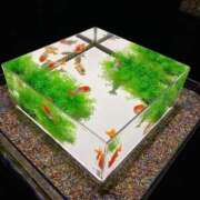 ヒメ日記 2025/07/18 00:36 投稿 なぎさ 大人の色気！ ウエスト・コム