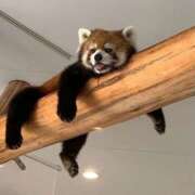 ヒメ日記 2025/08/06 13:38 投稿 なぎさ 大人の色気！ ウエスト・コム