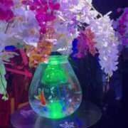 ヒメ日記 2025/08/27 00:36 投稿 なぎさ 大人の色気！ ウエスト・コム