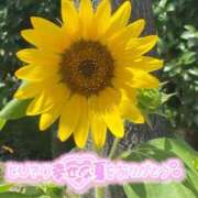 ヒメ日記 2025/09/01 00:27 投稿 なぎさ 大人の色気！ ウエスト・コム