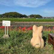 ヒメ日記 2025/11/08 00:44 投稿 なぎさ 大人の色気！ ウエスト・コム