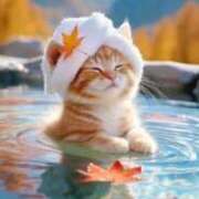 ヒメ日記 2025/11/12 00:25 投稿 なぎさ 大人の色気！ ウエスト・コム