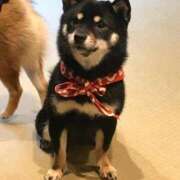 ヒメ日記 2025/11/19 15:05 投稿 なぎさ 大人の色気！ ウエスト・コム