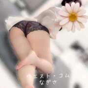 ヒメ日記 2026/01/25 14:25 投稿 なぎさ 大人の色気！ ウエスト・コム