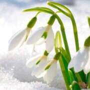 ヒメ日記 2026/02/06 18:13 投稿 なぎさ 大人の色気！ ウエスト・コム