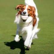 ヒメ日記 2026/02/27 00:25 投稿 なぎさ 大人の色気！ ウエスト・コム