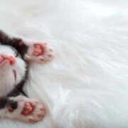 ヒメ日記 2026/03/08 00:35 投稿 なぎさ 大人の色気！ ウエスト・コム