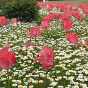 ヒメ日記 2026/03/26 09:25 投稿 なぎさ 大人の色気！ ウエスト・コム