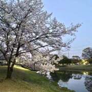 ヒメ日記 2026/04/04 15:45 投稿 なぎさ 大人の色気！ ウエスト・コム