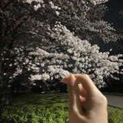 ヒメ日記 2026/04/06 00:35 投稿 なぎさ 大人の色気！ ウエスト・コム