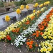 ヒメ日記 2026/04/09 00:35 投稿 なぎさ 大人の色気！ ウエスト・コム