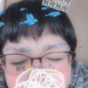 ヒメ日記 2025/02/15 16:04 投稿 ともえ☆ 豊橋豊川ちゃんこ