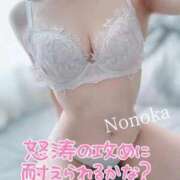 ヒメ日記 2026/10/07 00:26 投稿 ののか 京都クレージュ名鑑　極