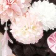 ヒメ日記 2025/03/11 09:02 投稿 絹(きぬ) 渋谷蘭の会