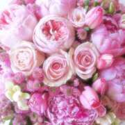 ヒメ日記 2025/04/17 09:41 投稿 絹(きぬ) 渋谷蘭の会