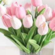 ヒメ日記 2025/05/01 10:02 投稿 絹(きぬ) 渋谷蘭の会