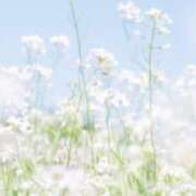 ヒメ日記 2025/05/12 21:51 投稿 絹(きぬ) 渋谷蘭の会