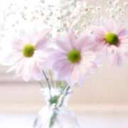 絹(きぬ) きぬ 渋谷蘭の会