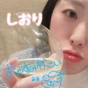 ヒメ日記 2025/02/07 02:55 投稿 しおり セレブクエスト-omiya-