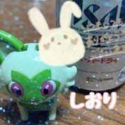 ヒメ日記 2025/02/14 02:45 投稿 しおり セレブクエスト-omiya-