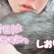 ヒメ日記 2025/03/15 18:05 投稿 しおり セレブクエスト-omiya-