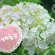 ヒメ日記 2025/06/19 21:58 投稿 とわこ 甲府人妻隊