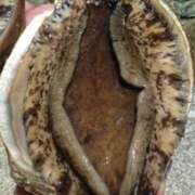 ヒメ日記 2025/10/03 13:34 投稿 さえこ 即アポ奥さん ～津・松阪店～