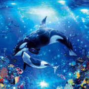 ヒメ日記 2025/03/29 21:27 投稿 一華 モアグループ所沢人妻城