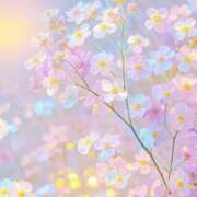 ヒメ日記 2025/04/11 16:21 投稿 一華 モアグループ所沢人妻城