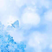 ヒメ日記 2025/04/19 13:21 投稿 一華 モアグループ所沢人妻城