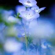 ヒメ日記 2025/05/21 07:51 投稿 一華 モアグループ所沢人妻城