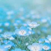 ヒメ日記 2025/07/08 19:03 投稿 一華 モアグループ所沢人妻城