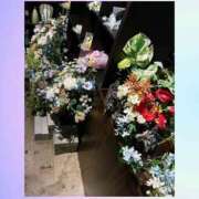 ヒメ日記 2025/12/17 09:33 投稿 一華 モアグループ所沢人妻城