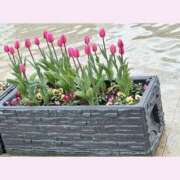 ヒメ日記 2025/12/22 22:57 投稿 一華 モアグループ所沢人妻城