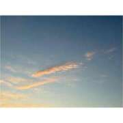 ヒメ日記 2026/01/10 15:03 投稿 一華 モアグループ所沢人妻城