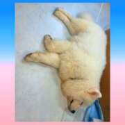 ヒメ日記 2026/01/16 00:21 投稿 一華 モアグループ所沢人妻城