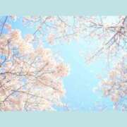 ヒメ日記 2026/01/31 07:42 投稿 一華 モアグループ所沢人妻城