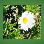 ヒメ日記 2026/02/16 14:33 投稿 一華 モアグループ所沢人妻城