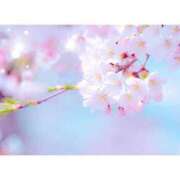 ヒメ日記 2026/03/01 21:48 投稿 一華 モアグループ所沢人妻城