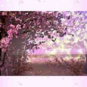 ヒメ日記 2026/03/07 07:33 投稿 一華 モアグループ所沢人妻城