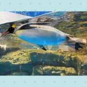 ヒメ日記 2026/03/09 13:36 投稿 一華 モアグループ所沢人妻城