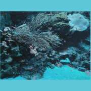 ヒメ日記 2026/03/22 00:48 投稿 一華 モアグループ所沢人妻城