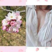 ヒメ日記 2026/03/28 08:12 投稿 一華 モアグループ所沢人妻城