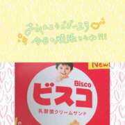 ヒメ日記 2026/04/12 09:57 投稿 一華 モアグループ所沢人妻城