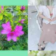 ヒメ日記 2026/04/16 05:57 投稿 一華 モアグループ所沢人妻城