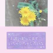 ヒメ日記 2026/05/05 21:42 投稿 一華 モアグループ所沢人妻城