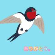 ヒメ日記 2026/05/06 06:51 投稿 一華 モアグループ所沢人妻城