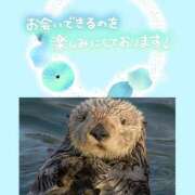ヒメ日記 2026/05/17 14:36 投稿 一華 モアグループ所沢人妻城