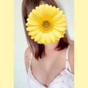 ヒメ日記 2026/06/13 12:21 投稿 一華 モアグループ所沢人妻城